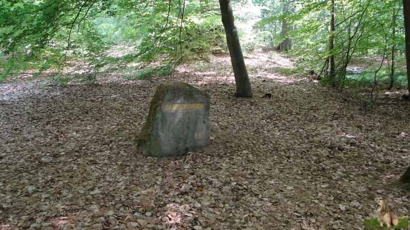 Ritterstein Nr. 146-4 Dammbrunnen.JPG - Ritterstein Nr.146  Dammbrunnen                               